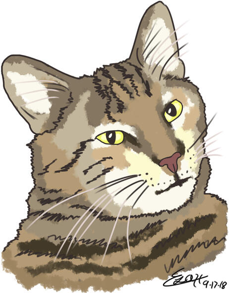 Judgy Kitty Judgy Kitty