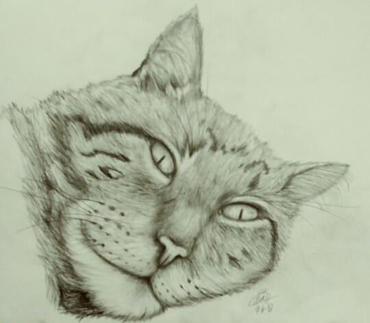 Kitty Cat Kitty Cat